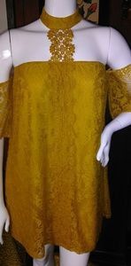 Sexy City Triangles large lace crochet dress